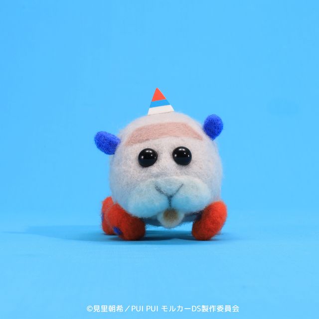 新モルカー4台＆PVカット「PUI PUI モルカー DRIVING SCHOOL」ビジュアル：フォトギャラリー