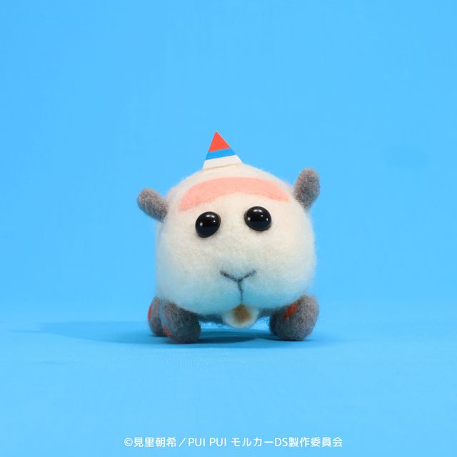 新モルカー4台＆PVカット「PUI PUI モルカー DRIVING SCHOOL」ビジュアル（2枚目）