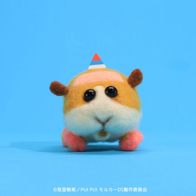 新モルカー4台＆PVカット「PUI PUI モルカー DRIVING SCHOOL」ビジュアル（5枚目）