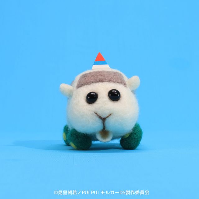 新モルカー4台＆PVカット「PUI PUI モルカー DRIVING SCHOOL」ビジュアル（6枚目）