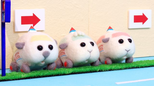 新モルカー4台＆PVカット「PUI PUI モルカー DRIVING SCHOOL」ビジュアル（15枚目）