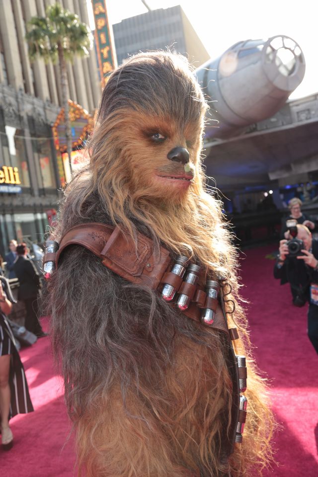 『スター・ウォーズ』ハン・ソロ映画お披露目！チューバッカも大興奮のLAプレミア！【写真多数】（4枚目）
