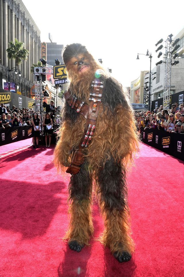 『スター・ウォーズ』ハン・ソロ映画お披露目！チューバッカも大興奮のLAプレミア！【写真多数】（14枚目）