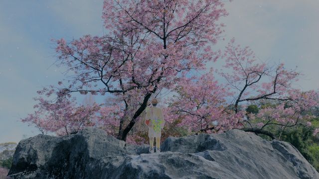 「らんまん」新たなタイトルバック、人生が満開になるように！（4枚目）