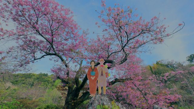 「らんまん」新たなタイトルバック、人生が満開になるように！（6枚目）