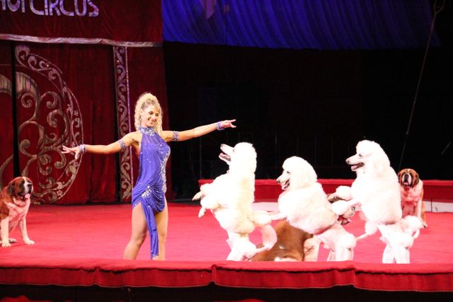 映画『マダガスカル3』＆ボリショイサーカスコラボイベント写真ギャラリー（2枚目）