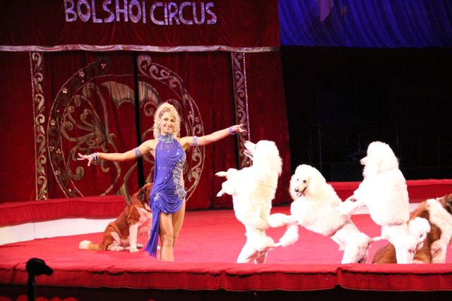 映画『マダガスカル3』＆ボリショイサーカスコラボイベント写真ギャラリー（3枚目）