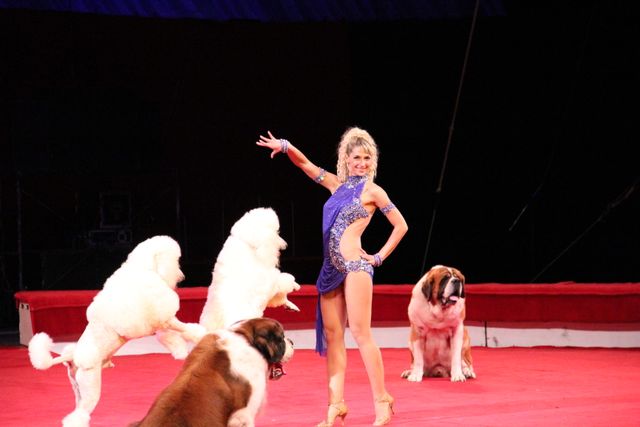 映画『マダガスカル3』＆ボリショイサーカスコラボイベント写真ギャラリー（4枚目）