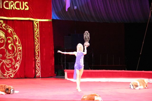 映画『マダガスカル3』＆ボリショイサーカスコラボイベント写真ギャラリー（5枚目）