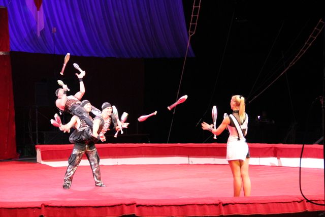 映画『マダガスカル3』＆ボリショイサーカスコラボイベント写真ギャラリー（8枚目）