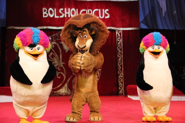 映画『マダガスカル3』＆ボリショイサーカスコラボイベント写真ギャラリー：フォトギャラリー｜シネマトゥデイ