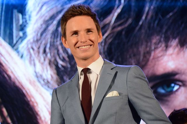 エディ・レッドメイン、日本のファン全員を持ち帰りたい！ジャパンプレミアフォトギャラリーVol.1（14枚目）