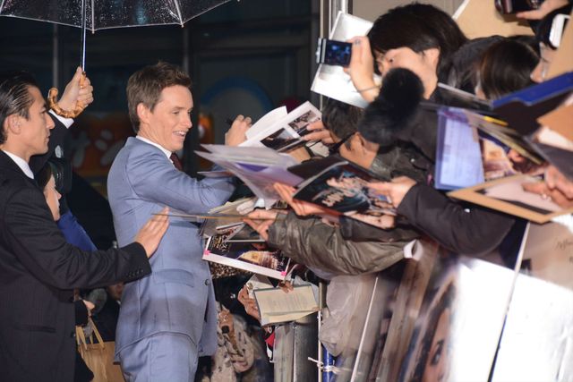 エディ・レッドメイン、日本のファン全員を持ち帰りたい！ジャパンプレミアフォトギャラリーVol.1（30枚目）