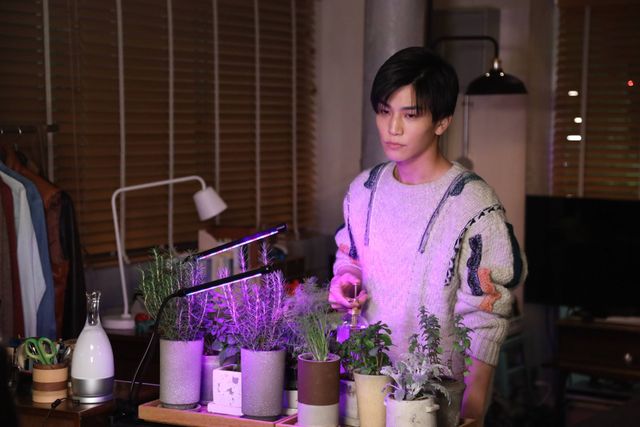 木南晴夏が登場！「シャーロック」特別編：フォトギャラリー