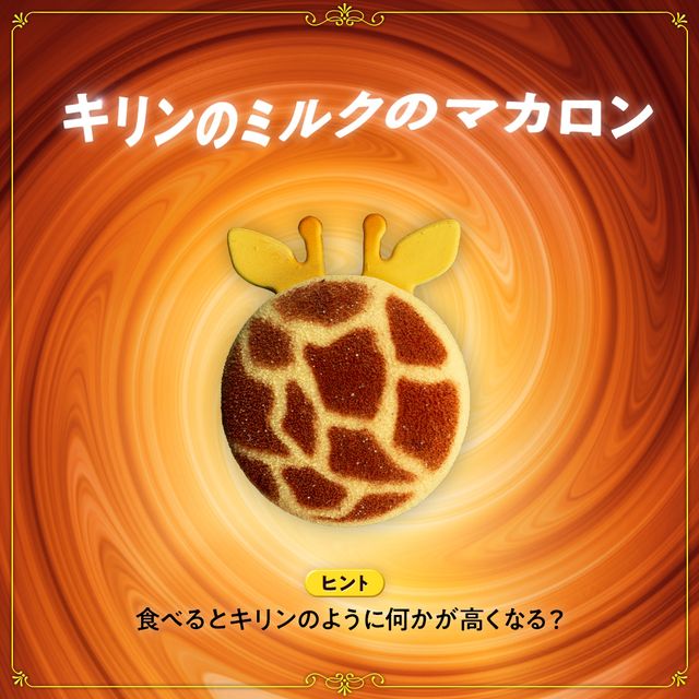 美味しそうな魔法のチョコレートたち！（4枚目）