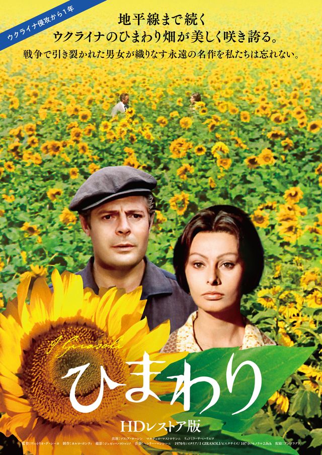 ウクライナのひまわり畑『ひまわり』より（2枚目）