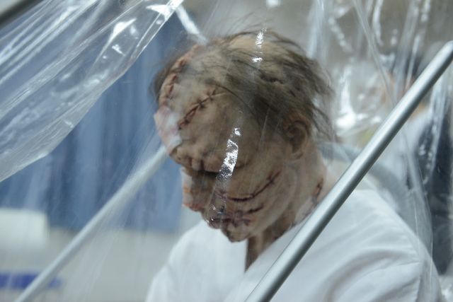 「未体験ゾーンの映画たち2018」全61作品ポスター一覧（21枚目）