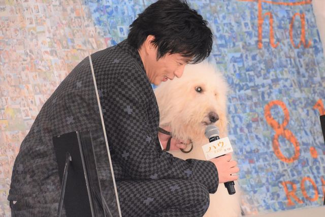 田中圭、俳優犬ベックに優しく寄り添う！映画『ハウ』完成披露上映会（2枚目）