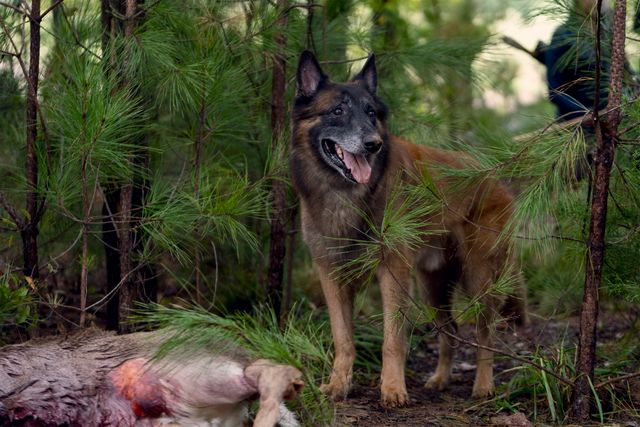 新キャラは敵か味方か…？「ウォーキング・デッド」シーズン10第18話（3枚目）