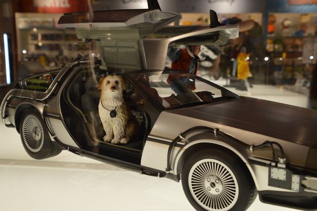 『BTTF』衣装＆小道具、渋谷で一挙展示！「レトロ・サピエンス PART2」プレス内覧会（18枚目）