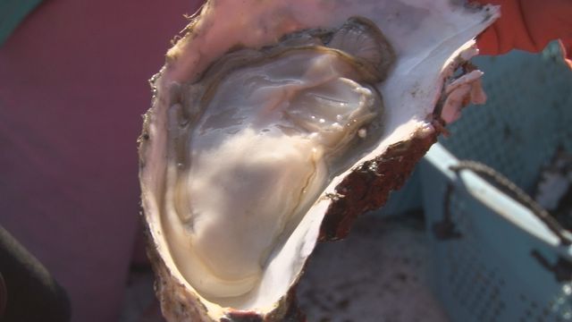 被災地住民の挑戦やロックな生きざまが明らかに！『赤浜Rock'nRoll』フォトギャラリー（9枚目）