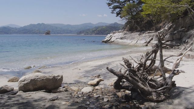 被災地住民の挑戦やロックな生きざまが明らかに！『赤浜Rock'nRoll』フォトギャラリー（10枚目）
