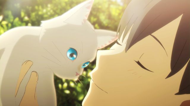 志田未来×花江夏樹！アニメ『泣きたい私は猫をかぶる』：フォトギャラリー