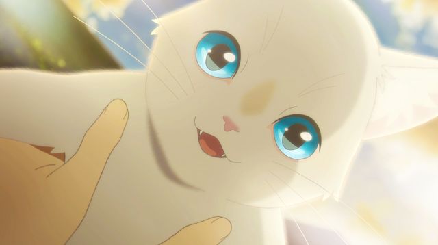 志田未来×花江夏樹！アニメ『泣きたい私は猫をかぶる』（3枚目）