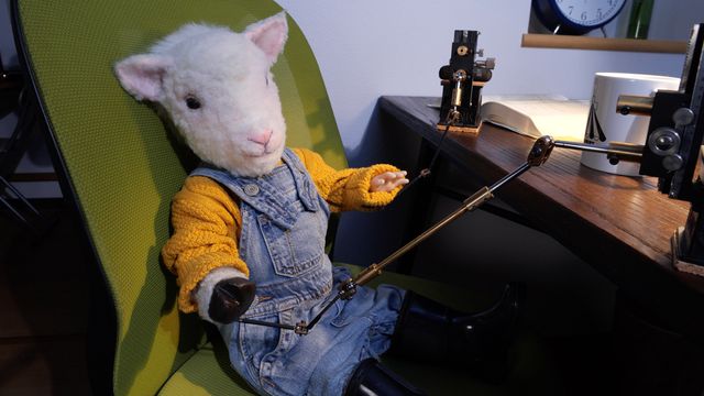 『LAMB／ラム』篠原健太によるコマ撮り動画メイキング写真（4枚目）