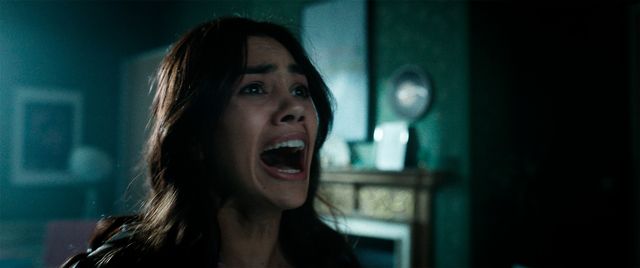 新手の殺人アニマル爆誕『キラー・ナマケモノ』場面写真（2枚目）