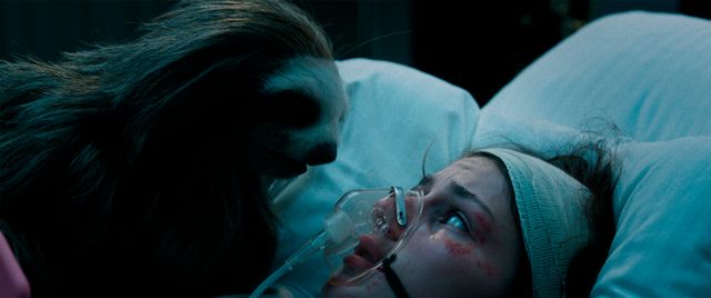 新手の殺人アニマル爆誕『キラー・ナマケモノ』場面写真（4枚目）