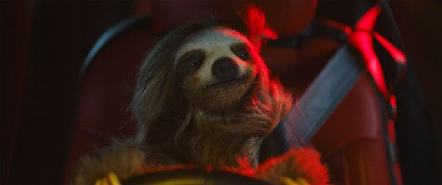 新手の殺人アニマル爆誕『キラー・ナマケモノ』場面写真（7枚目）