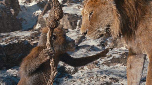 画像は『ライオン・キング：ムファサ』より