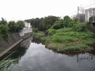 東京都第1号のトトロの森となった柳瀬川河川敷