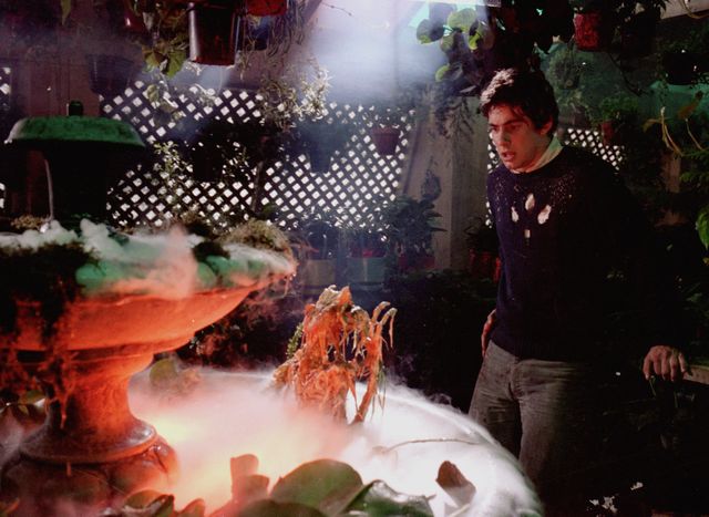 ルールを破ったら変身！『グレムリン』場面写真（5枚目）