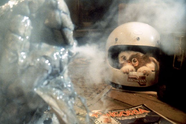 ルールを破ったら変身！『グレムリン』場面写真（10枚目）