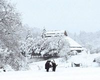 中居正広