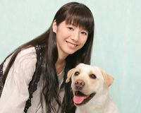 夏帆