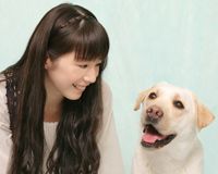 夏帆