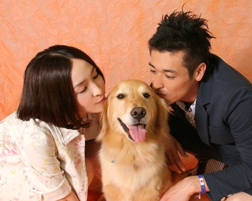 映画『ロック ~わんこの島~』佐藤隆太&麻生久美子 単独インタビュー