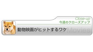 動物映画がヒットするワケ