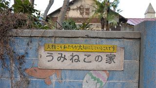 ジャニタレ映画名作選