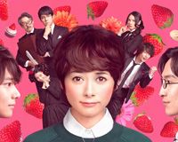 真木よう子&西島秀俊&神木隆之介