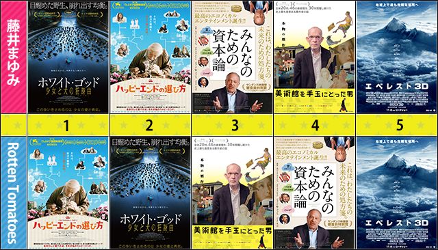 今月のランキング