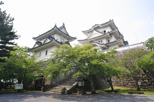 娚の一生