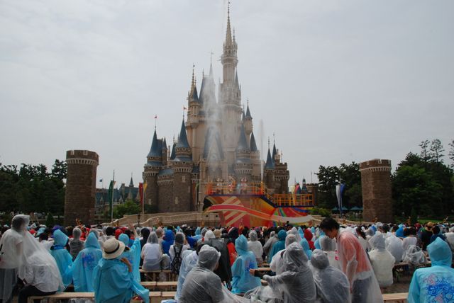 ディズニー画像のすべて 綺麗なさい りょう かぶ ディズニー