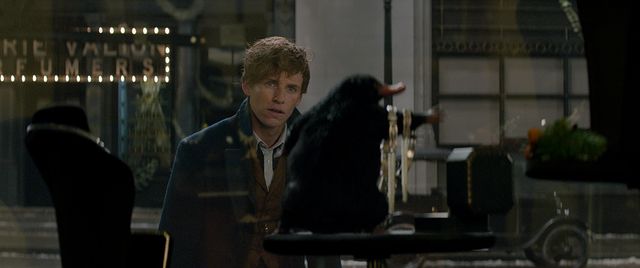 ファンタスティック・ビーストと魔法使いの旅