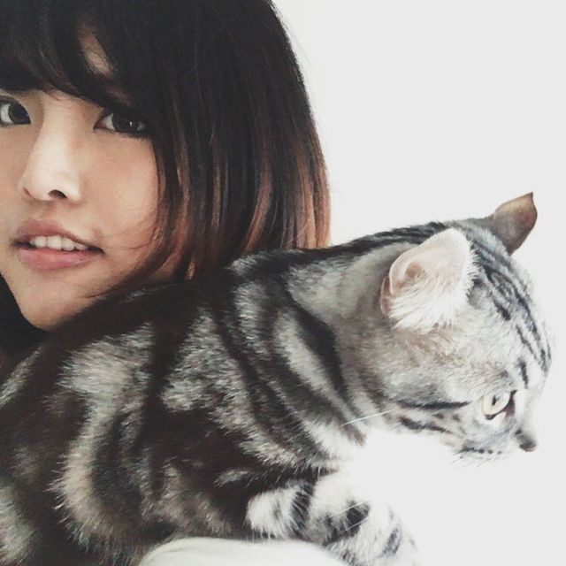 柳本