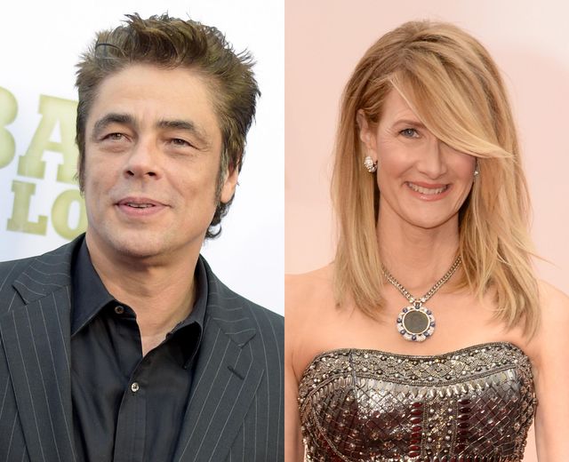 ベニチオ・デル・トロとローラ・ダーン