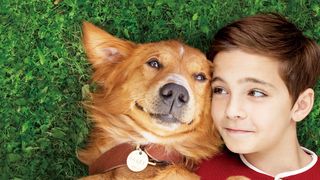 犬が語る！飼い主への一途な想いが愛おしい